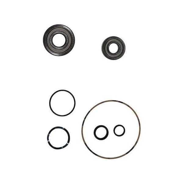 Pump Repair Kits- Kit, Ball Bearing 6305.SYN/6204.SYN, Spare Part.